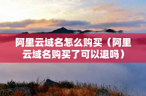 阿里云域名怎么购买（阿里云域名购买了可以退吗）