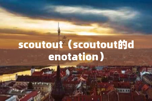 scoutout（scoutout的denotation）