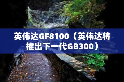 英伟达GF8100（英伟达将推出下一代GB300）