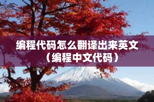 编程代码怎么翻译出来英文（编程中文代码）