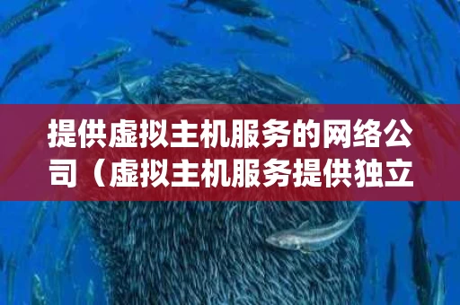 提供虚拟主机服务的网络公司（虚拟主机服务提供独立的ip地址）
