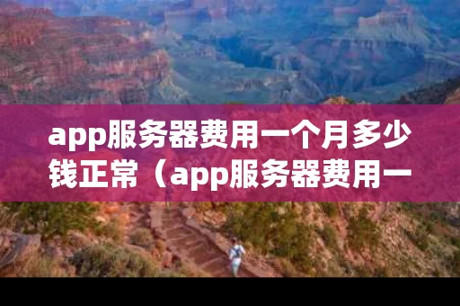 app服务器费用一个月多少钱正常（app服务器费用一个月多少钱正常啊）