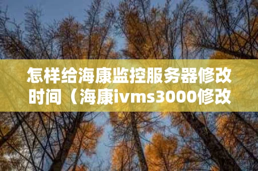 怎样给海康监控服务器修改时间（海康ivms3000修改时间）