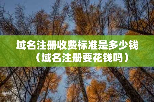 域名注册收费标准是多少钱（域名注册要花钱吗）