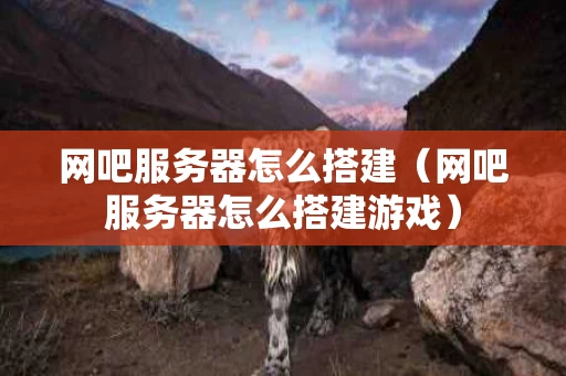 网吧服务器怎么搭建（网吧服务器怎么搭建游戏）
