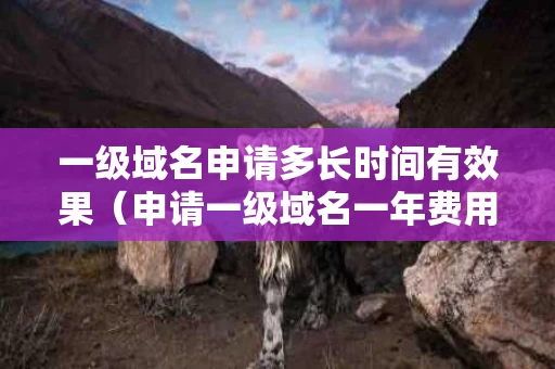 一级域名申请多长时间有效果（申请一级域名一年费用是多少?）