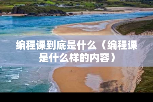 编程课到底是什么（编程课是什么样的内容）