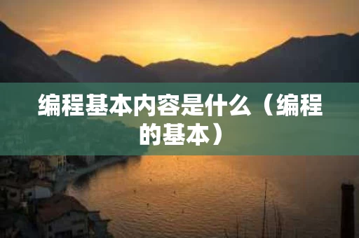 编程基本内容是什么（编程的基本）