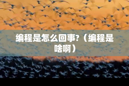 编程是怎么回事?（编程是啥啊）
