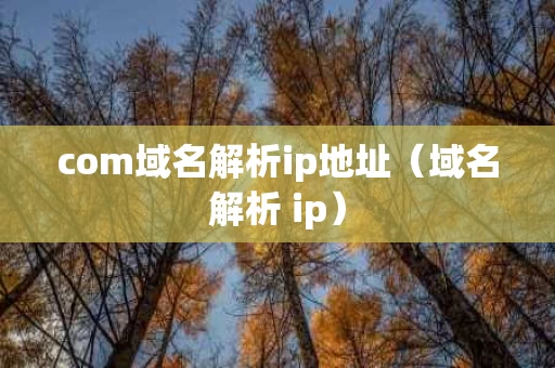 com域名解析ip地址（域名解析 ip）