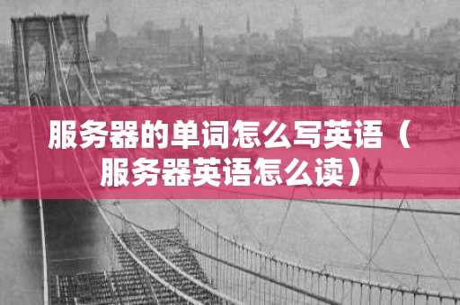 服务器的单词怎么写英语（服务器英语怎么读）