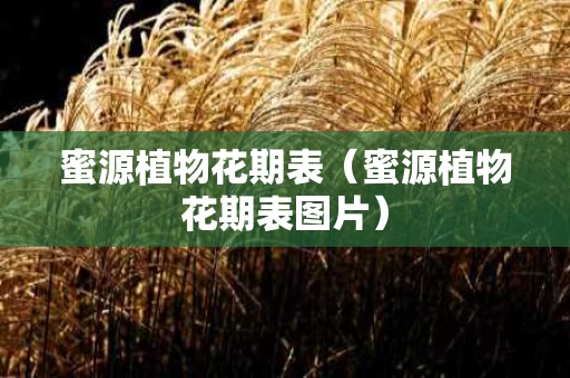 蜜源植物花期表（蜜源植物花期表图片）