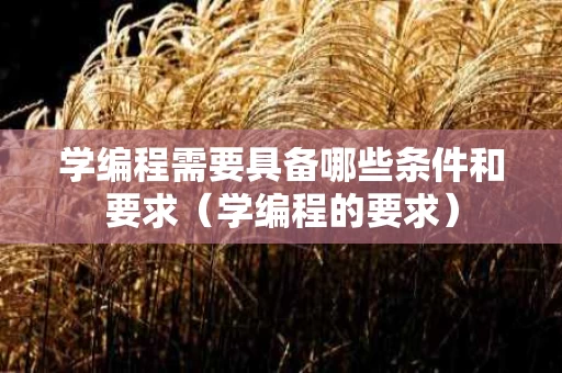 学编程需要具备哪些条件和要求（学编程的要求）