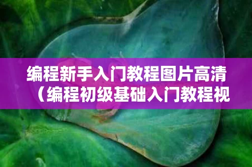 编程新手入门教程图片高清（编程初级基础入门教程视频）