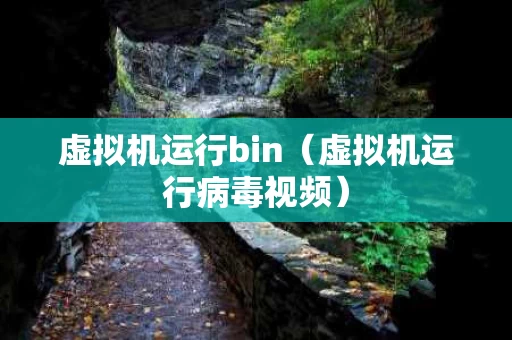 虚拟机运行bin（虚拟机运行病毒视频）