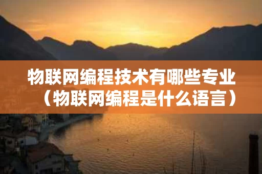 物联网编程技术有哪些专业（物联网编程是什么语言）