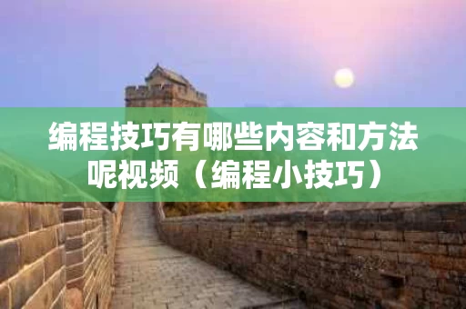 编程技巧有哪些内容和方法呢视频（编程小技巧）