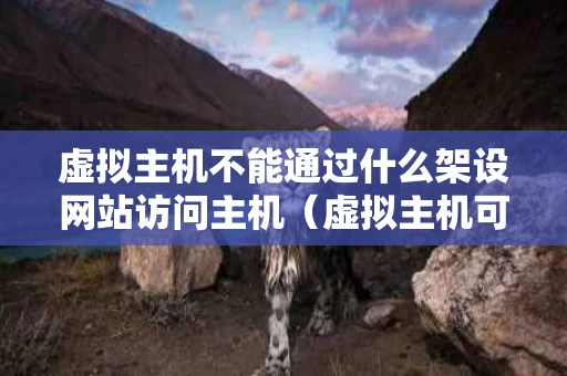 虚拟主机不能通过什么架设网站访问主机（虚拟主机可以放置网站内容吗）