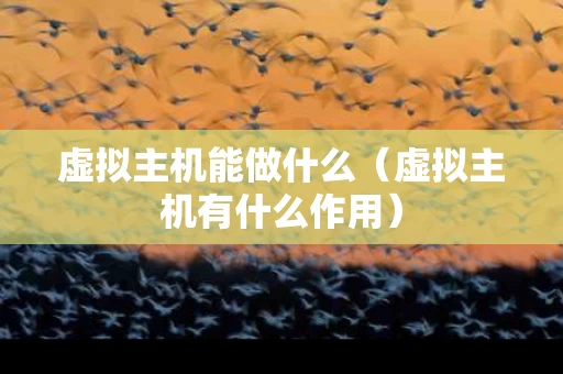 虚拟主机能做什么（虚拟主机有什么作用）