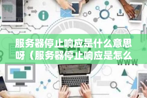 服务器停止响应是什么意思呀（服务器停止响应是怎么回事）