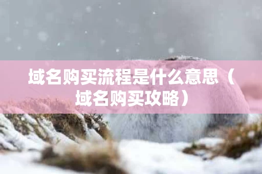 域名购买流程是什么意思（域名购买攻略）