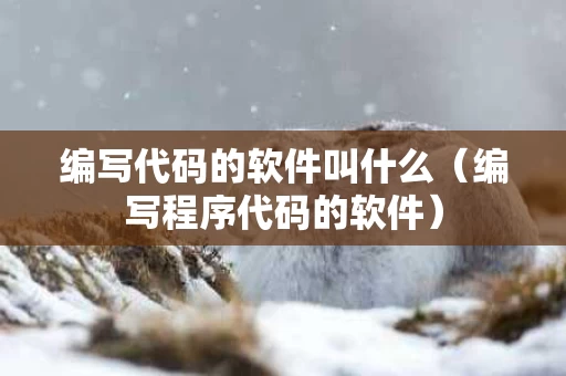 编写代码的软件叫什么（编写程序代码的软件）