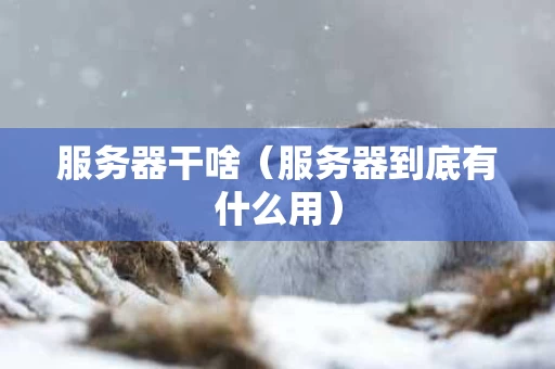 服务器干啥（服务器到底有什么用）
