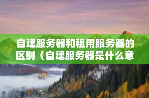自建服务器和租用服务器的区别（自建服务器是什么意思）