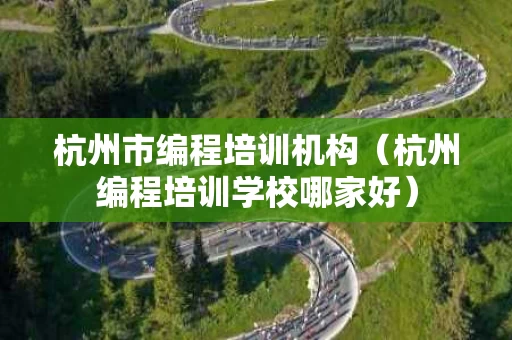 杭州市编程培训机构（杭州编程培训学校哪家好）