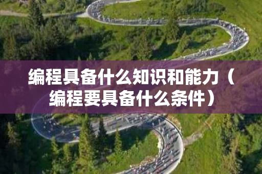 编程具备什么知识和能力（编程要具备什么条件）