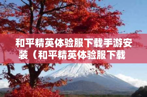 和平精英体验服下载手游安装（和平精英体验服下载 安装）