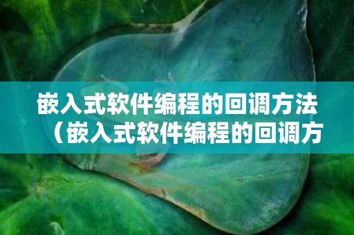 嵌入式软件编程的回调方法（嵌入式软件编程的回调方法是）