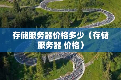 存储服务器价格多少（存储服务器 价格）