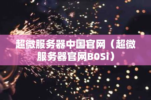 超微服务器中国官网（超微服务器官网B0Si）