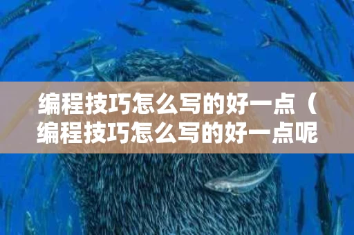 编程技巧怎么写的好一点（编程技巧怎么写的好一点呢）