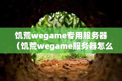饥荒wegame专用服务器（饥荒wegame服务器怎么搭建）