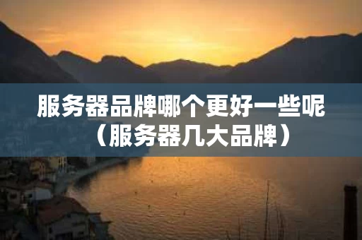 服务器品牌哪个更好一些呢（服务器几大品牌）