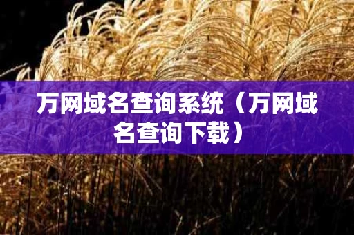 万网域名查询系统（万网域名查询下载）