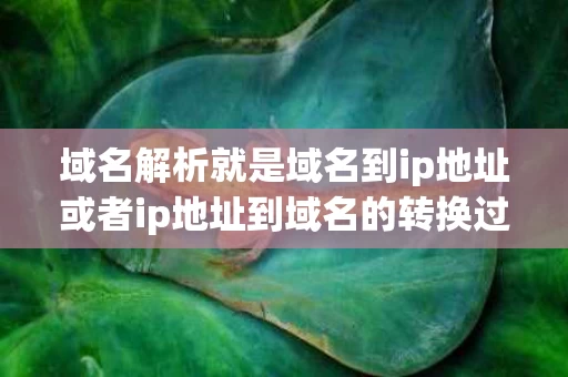 域名解析就是域名到ip地址或者ip地址到域名的转换过程（将域名解析为ip地址的是什么服务器）