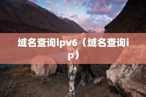 域名查询ipv6（域名查询ip）