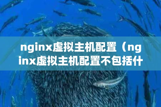 nginx虚拟主机配置（nginx虚拟主机配置不包括什么）
