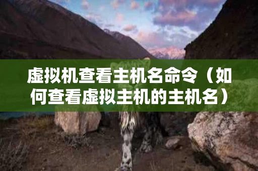 虚拟机查看主机名命令（如何查看虚拟主机的主机名）