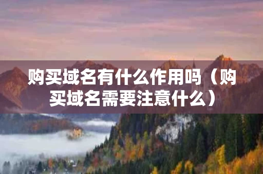 购买域名有什么作用吗（购买域名需要注意什么）
