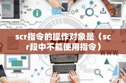 scr指令的操作对象是（scr段中不能使用指令）