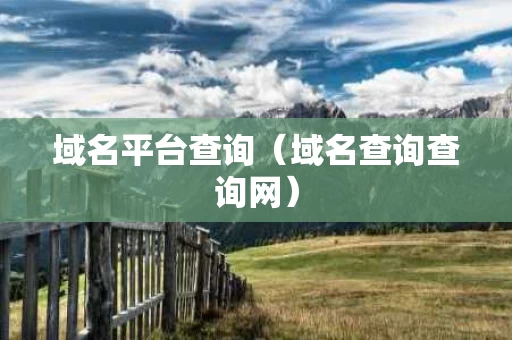 域名平台查询（域名查询查询网）