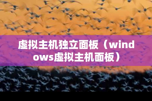 虚拟主机独立面板（windows虚拟主机面板）