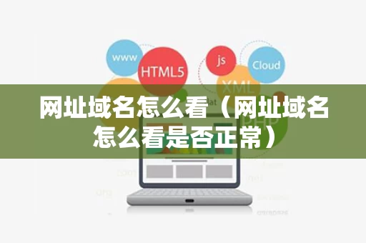 网址域名怎么看（网址域名怎么看是否正常）