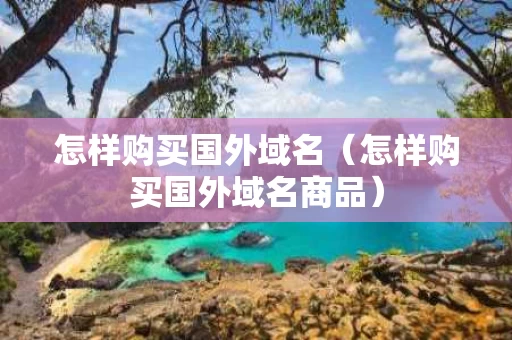 怎样购买国外域名（怎样购买国外域名商品）