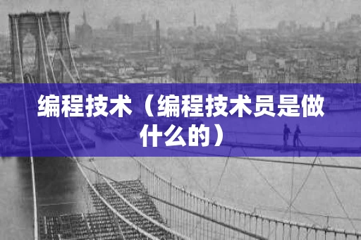 编程技术（编程技术员是做什么的）
