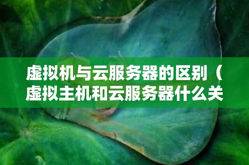 虚拟机与云服务器的区别（虚拟主机和云服务器什么关系）